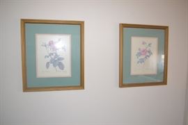 Framed Prints