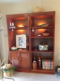 lighted shelving units