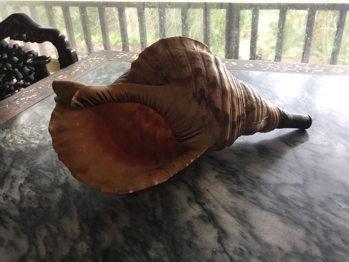 Japanese horagi (conch shell horn).
