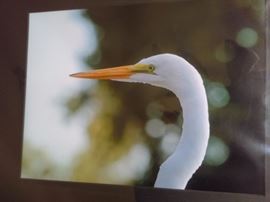 Original nature photography 