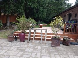 Back Yard: Large Chinese Clay Pot w/Tree, 2 old Saw Horses,  Small Chinese Clay Pot w/Bush, Large Ceramic Pot w/ Tree
