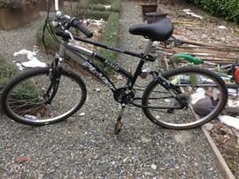 Planet Earth 2600 Nebula Mountain Bike