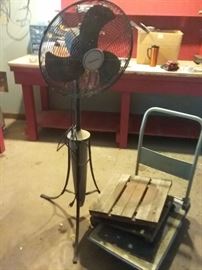 Fan and Cart