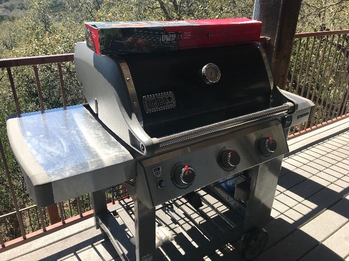 Weber Genesis Grill with rotisserie