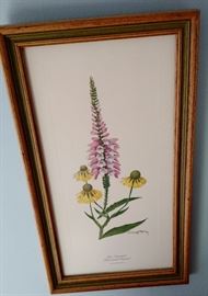 9" by 16" False Dragonhead and Yellow Headed Sneezeweed framed print by Ray Harm