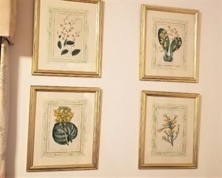Set of four antique botanical prints - very pretty and in great condition.