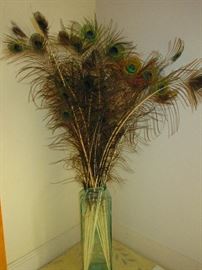 Large vase filled with peacock feathers