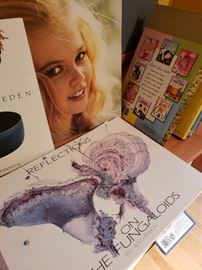 Sweden books and children's books