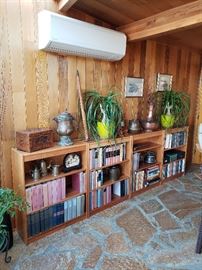 Did I say book shelves?