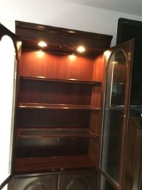 Bookcase/Display with lights and storage below
