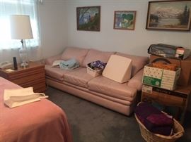 Also Sofa Sleeper in great condition