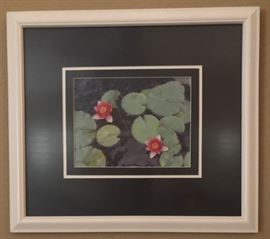 "Lilies of Monet" Photo 8 x 10 framed