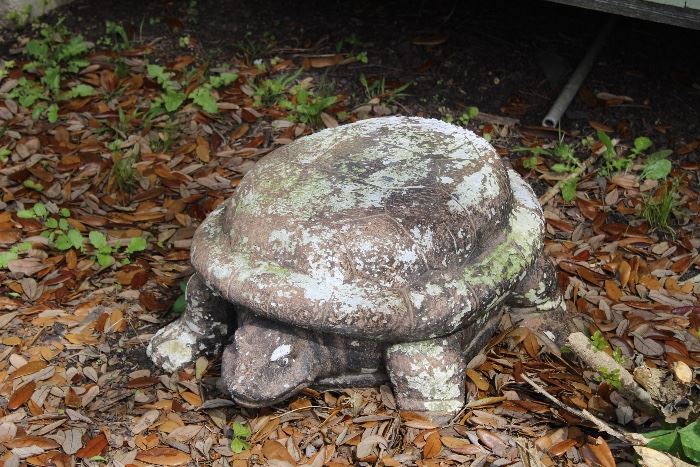 fiberglass turtle