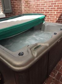 Viking 6 person hot tub