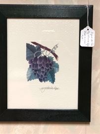 Grape Art