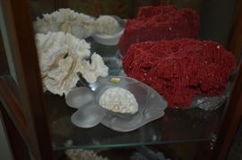 Gorgeous Coral