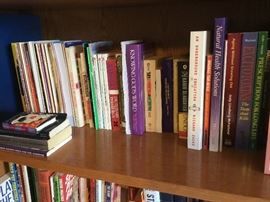 Upstairs Office Bookshelves filled with books