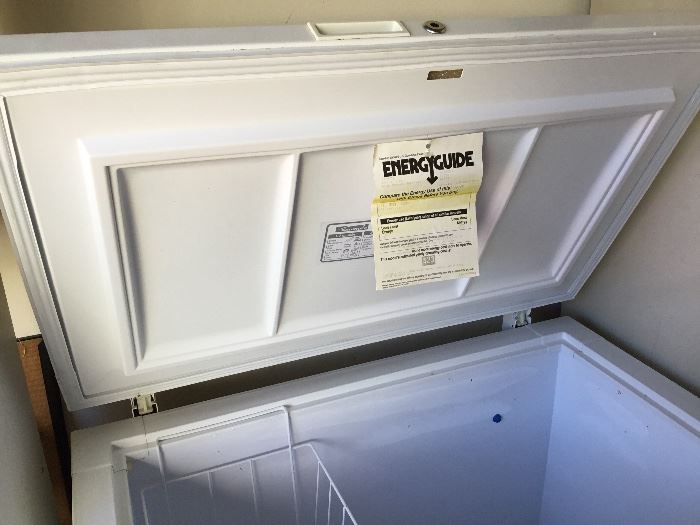 Chest freezer - inside - Garage