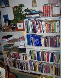 Metal office shelves, books