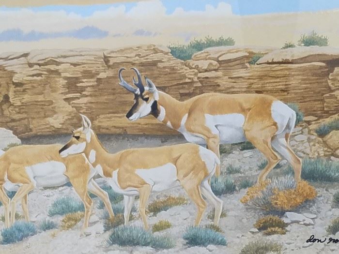 Original watercolor painting of antelope in the desert, entitled "Pronghorns on Poison Creek", by well known artist Don Rodell (1932-2003, Arizona). 10" x 20" in a 20" x 29" frame.