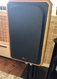 Vintage Ohm speakers