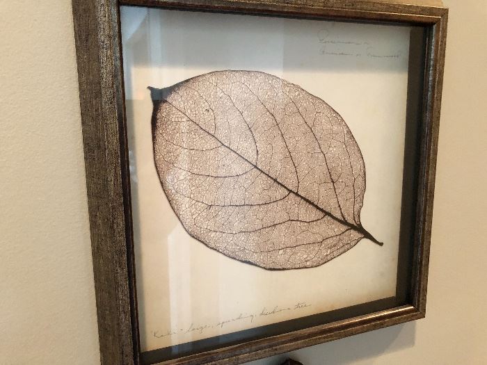 One of three very nice frames leaf drawings