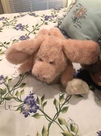 a soft fluffy piglet needs a home
