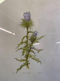 *Signed* Canadian Thistle Artist Print	