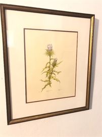 *Signed* Canadian Thistle Artist Print	