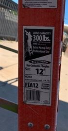 Werner 12 ft FIA12 Ladder