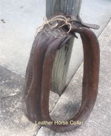 horse collar