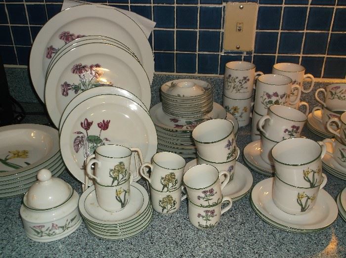 Seltmann Weiden Bavarian Botanicals china set; 43 pieces w/cream soups, egg cups, and demi-tasse cups