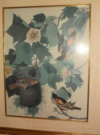 Oriole print