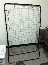 Basketball/baseball net rebounder