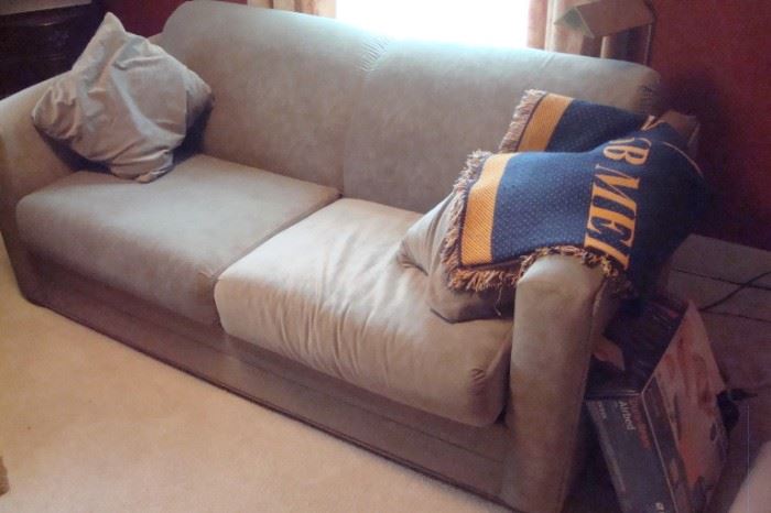 Sleeper sofa.