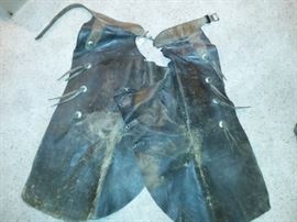 Batwing Cowboy Chaps with 8 Conchos
