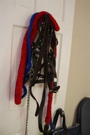 Horse halters & Leads