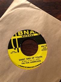 The Five Americans 45 RPM on ABNAK records