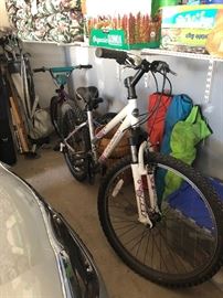 Bicycles: Schwinn Crisscross, Trek 820, Trek Mountain Lion, Nishiki bicycle