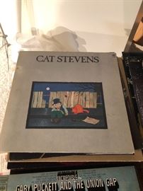 Cat Stevens
