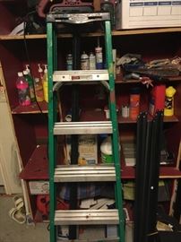 wernier 6' stepladder