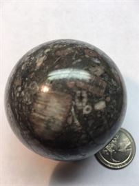 Different Crinoid Sphere