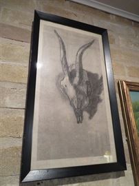Amazing 1930 etching of an animal skull