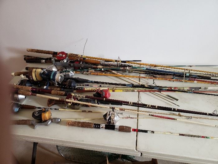 Tons of fishing!