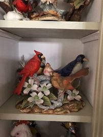 Andrea birds