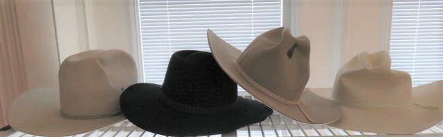 Western Wear Bailey Colt Cowboy Hats