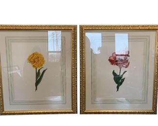 Pair of Floral Frames.