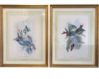 Pair of Framed & Matted Botanical Art. Absolutely perfect size and design to finish the decor in any room.