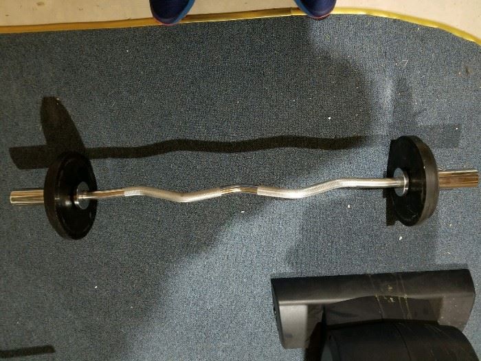 curl bar and weights