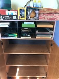 #47	laminate cabinet w 2 doors and organizing shelves 30x12x34	 $65.00 
